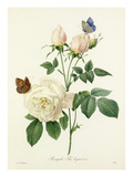 Bengale Thé hyménée Giclee Print by  Victor