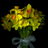 The Gift of Beauty Fotografie-Druck von Magda Indigo
