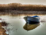 Peacefully Adrift Photographic Print by Nejdet Duzen