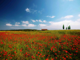 Red Carpet Photographie par Philippe Sainte-Laudy