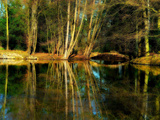 Enjoy the Silence Photographic Print by Philippe Sainte-Laudy