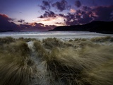 Foot Path Photographic Print by Doug Chinnery