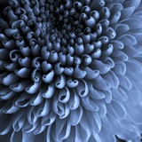 Im Rausch der Tiefe Fotografie-Druck von Doug Chinnery