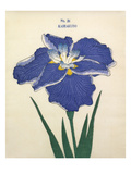 Plate 26 Giclee Print