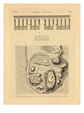 1823, Egypt Giclee Print