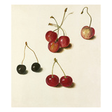Page 138 Giclee Print by Pieter Holsteyn