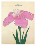 Page 27 Reproduction procédé giclée