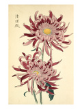 Seirioden Reproduction procédé giclée par Keikwa Hasegawa