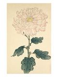 Usu sakura Giclee Print by Keikwa Hasegawa