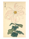 Jitsu Getsu shi Giclee Print by Keikwa Hasegawa