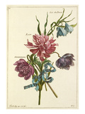 Plate 11 Giclee Print by Nicolas Robert