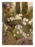 Consider the Lilies Giclee Print by Edith Helena Adie
