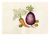 Brassica rapa, Daucus carota, Solanum lycopersicum Giclee Print by  Wang Lui Chi