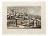 Forcing garden, in Winter Giclée-Druck von Humphry Repton