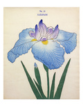 Plate 18 Giclee Print