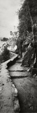 Inca Trail at the Mountainside, Machu Picchu, Cusco Region, Peru Fotografie-Druck von Panoramic Images 