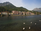 Swans in the Lake with Town in the Background, Lecco, Lake Como, Lakes Region, Lombardy, Italy Photographic Print by  Green Light Collection