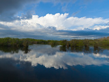 Reflection of Clouds on Water, Everglades National Park, Florida, USA Photographic Print by Panoramic Images 