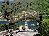 Garden at the Waterfront with a Town in the Background, Torno, Moltrasio, Lake Como, Lombardy, I... Photographic Print