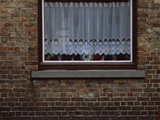 Brick Wall of a House, Bruges, Belgium Photographic Print