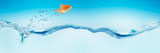 Goldfish Jumping Out of Water Photographic Print by Panoramic Images 