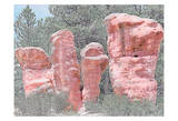 Rock Garden Posters by Joseph Charity