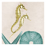 Under The Sea 1 Prints by Albert Koetsier