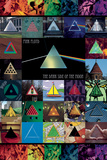 Pink Floyd DSOM Inversion Obrazy