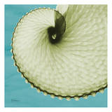 Argonaut Print by Albert Koetsier