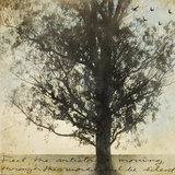 Under the Trees II Prints by Amy Melious
