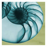 Neon Nautilus Posters par Albert Koetsier