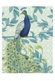 Peacock Full Tail 3 Affiche par Marilu Windvand