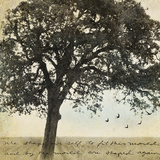 Under the Trees I Prints by Amy Melious