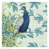 Peacock Plumes Art by Marilu Windvand