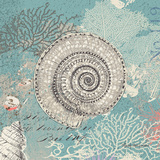 Shells on Aqua Prints by Wendy MacFarlane