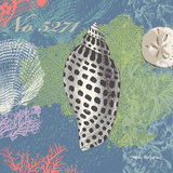 Shells on Blue Prints by Wendy MacFarlane