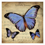 Musical Butterflies 2 Posters by Carole Stevens