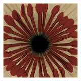 Ox Blood Chrysanthemum Poster by Albert Koetsier