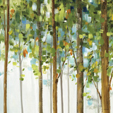 Forest Study III Prints by Lisa Audit