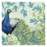 Pretty Peacocks Prints by Marilu Windvand