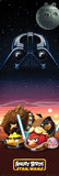 Angry Birds Star Wars Characters Poster Angry Birds Star Wars Characters Poster