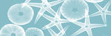 Starfish Teal 2 Posters by Albert Koetsier