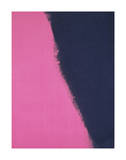 Shadows II, 1979 (pink) Prints by Andy Warhol