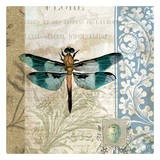 Dragonfly Posters by Tammy Repp
