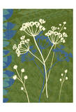 A Graphic Organic 2 Posters by Marilu Windvand