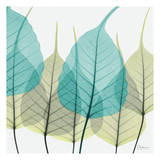 Bodhi Tree Prints by Albert Koetsier