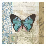 Butterfly Prints by Tammy Repp