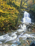 Moss Glen Falls in Autumn, Granvillie, Vermont, USA Photographic Print by Adam Jones