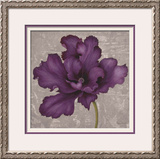 Black Plum 2 Framed Giclee Print by Ariane Martine