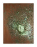 Oxidation, 1978 Giclee Print by Andy Warhol